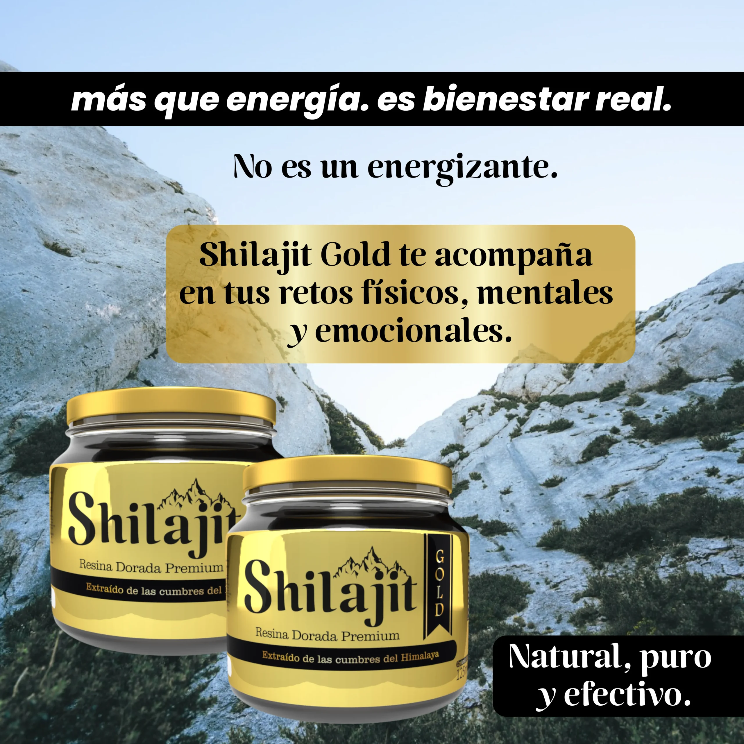 1757946302Mesa de trabajo 12x1-3@2x_11zon